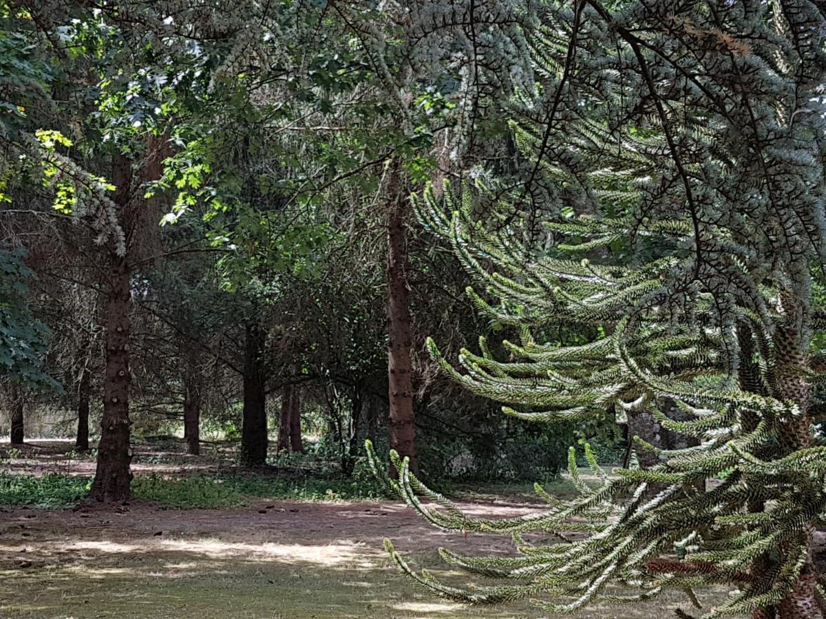 Bed & Breakfast Le Clos Des Ecureuils Vouzon