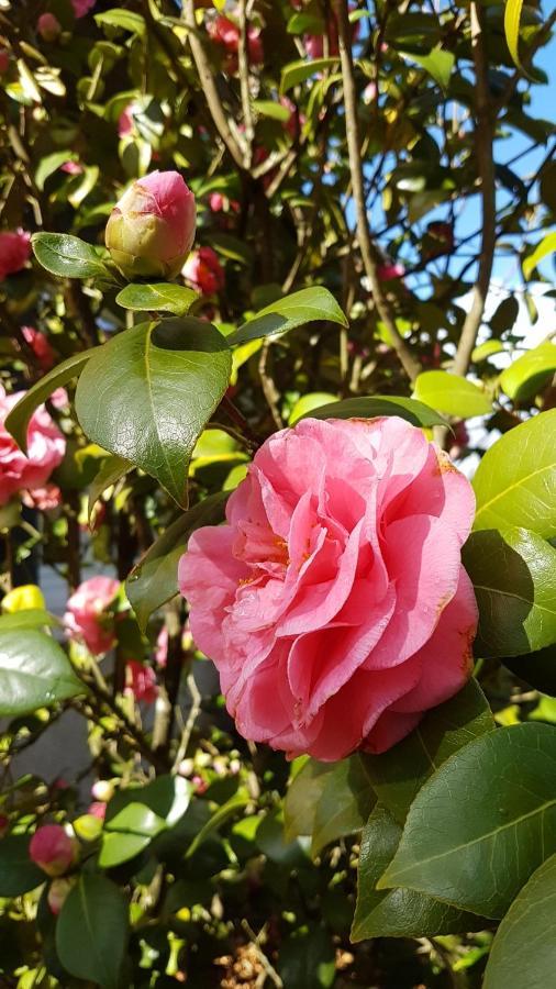 Bed & Breakfast Le Clos Des Ecureuils *