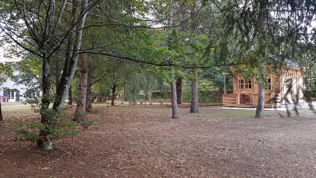 Le Clos Des Ecureuils Vouzon