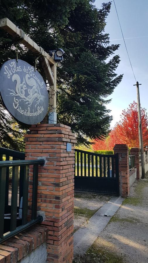 Bed & Breakfast Le Clos Des Ecureuils *