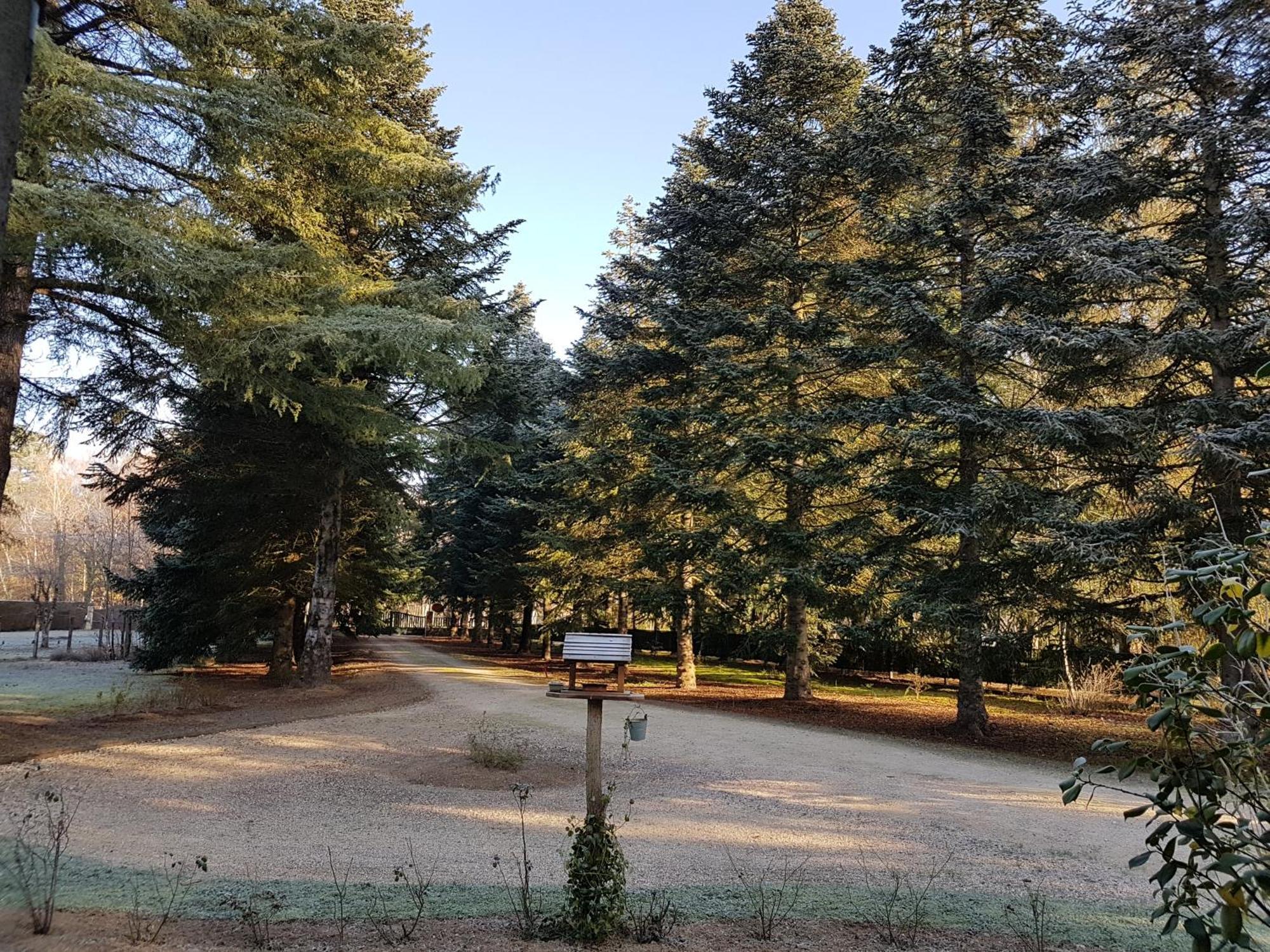 Le Clos Des écureuils *