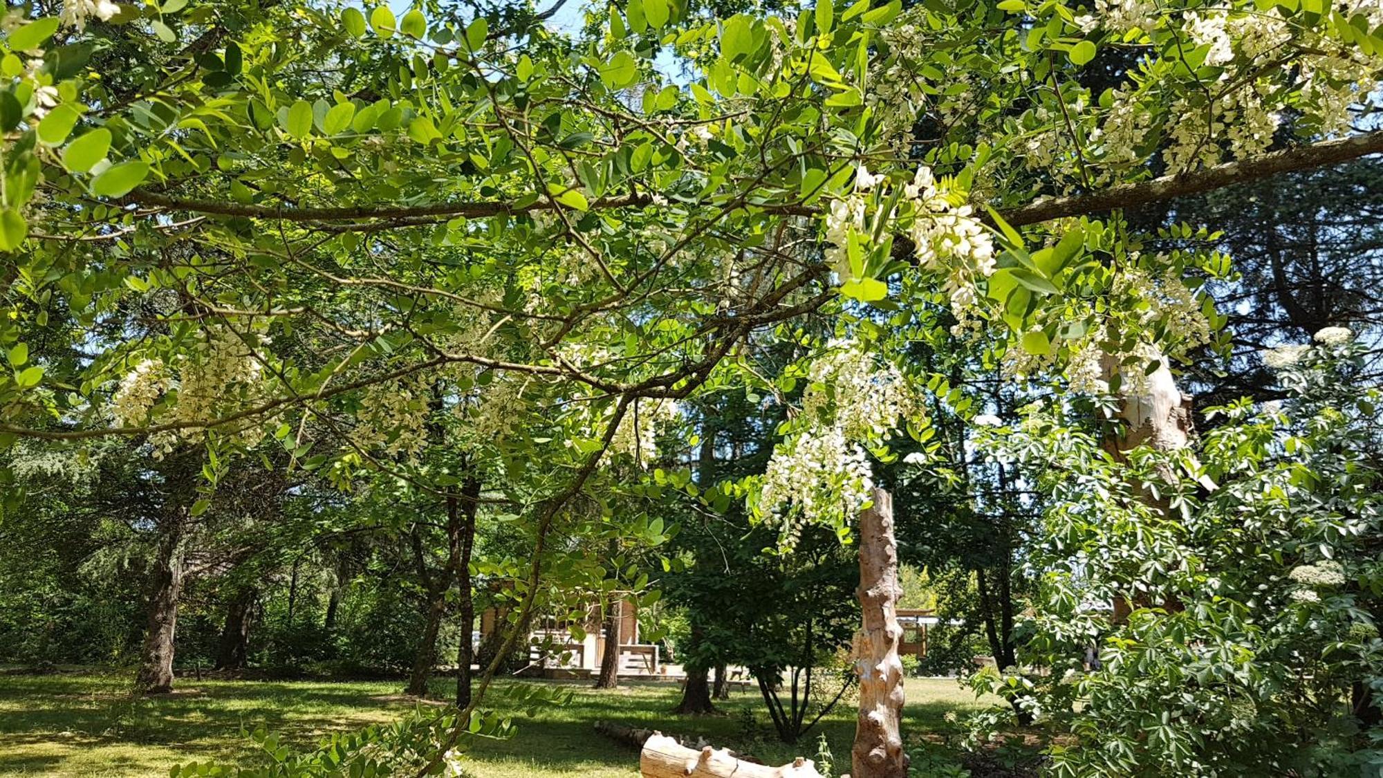 Bed & Breakfast Le Clos Des Ecureuils *